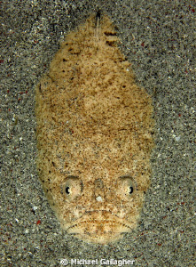 Stargazer, Indonesia by Michael Gallagher 